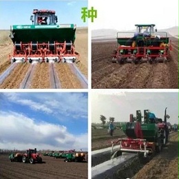 【土豆/马铃薯】高产种植必看技术！珍藏版土豆施肥管理手册！